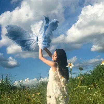 生生舞不息 封面