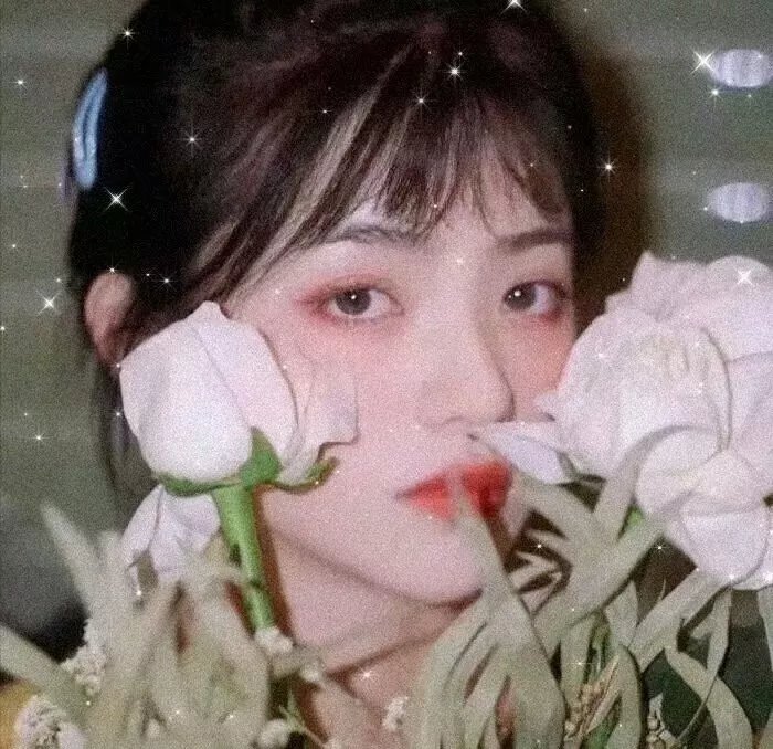 美少女（1969年电影） 封面